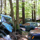 Illustration for article titled Massive Secret Mustang Junkyard Found In Rhode Island Forest